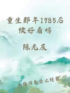 重生那年1985后续好看吗